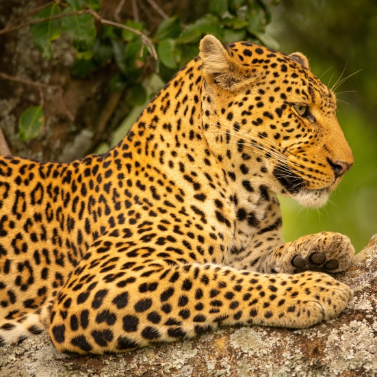 Kuza Utalii | Kenya.