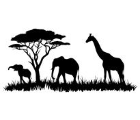 Kuza Utalii | Kenya.