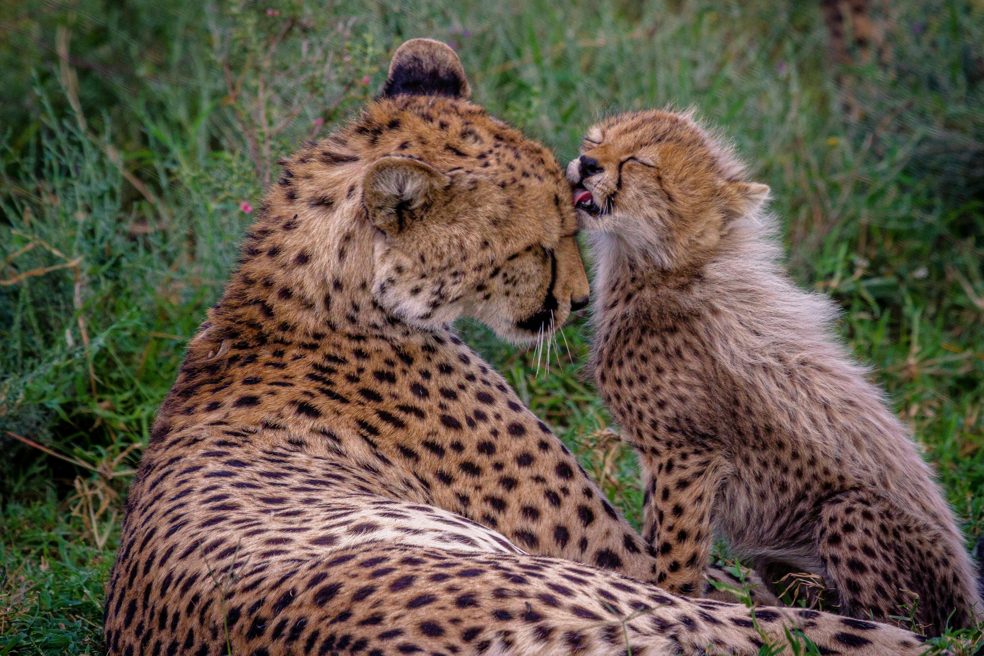 Kuza Utalii | Kenya.