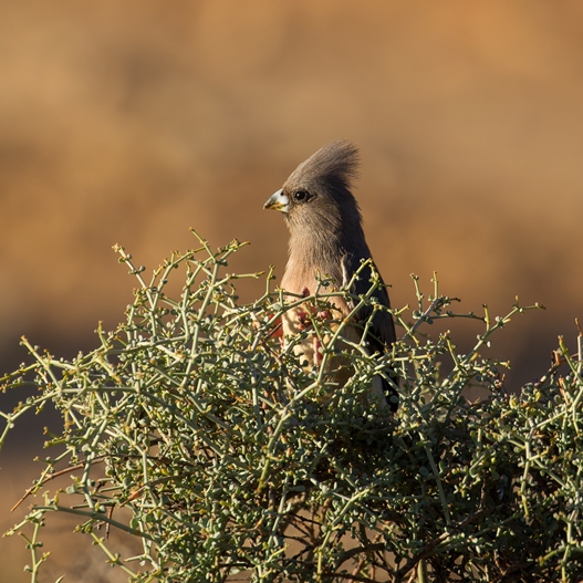 Kuza Utalii | Kenya.