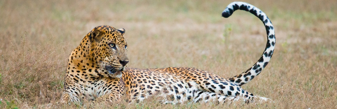Kuza Utalii | Kenya.